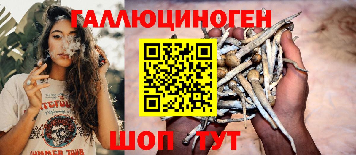 Чусовой  Галлюциногенные грибы мухоморы  купить   Вход с VPN 