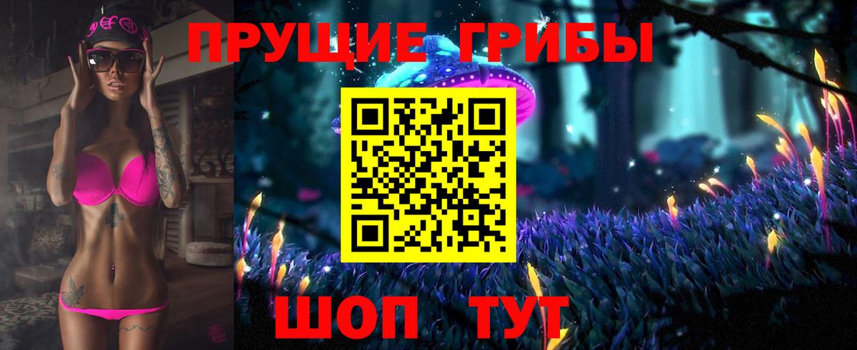 Галлюциногенные грибы Psilocybe Чусовой